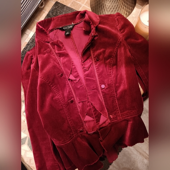 Velvet Blazer - Picture 9 of 12